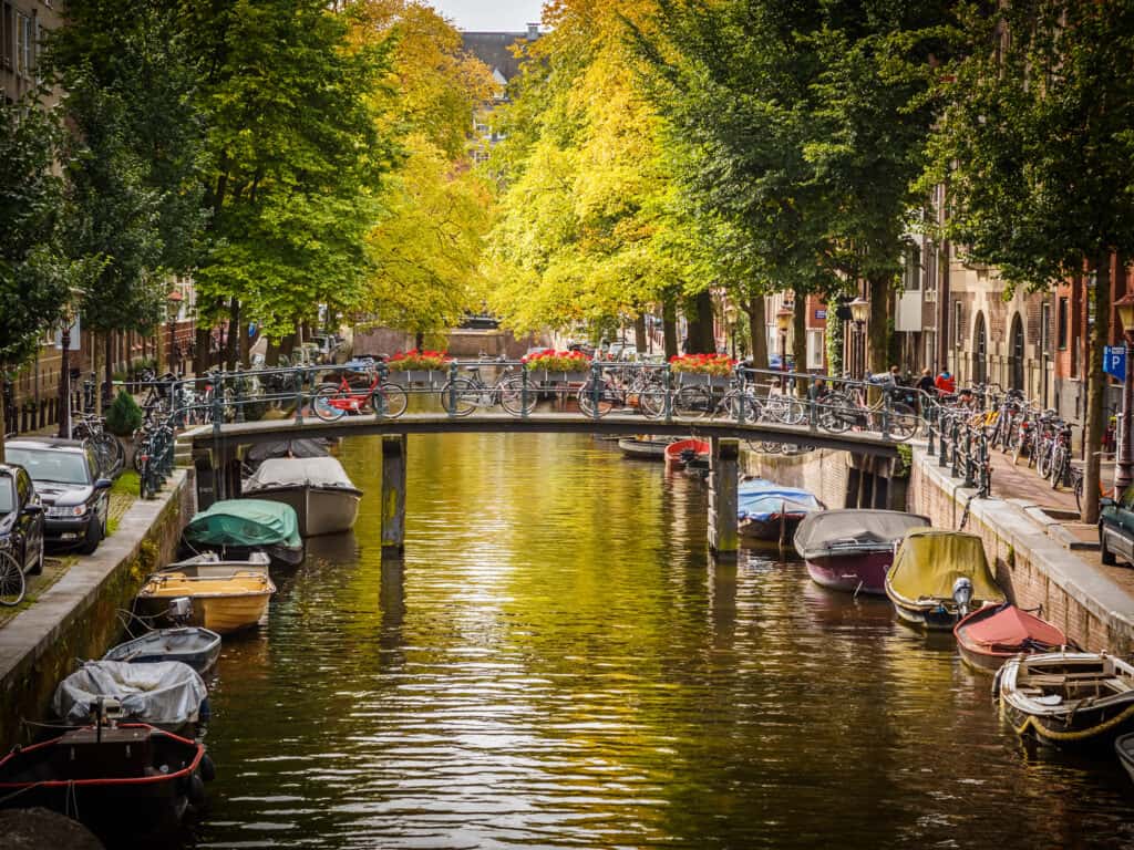 A picturesque Amsterdam canal view with boats moored alongside, framed by lush green trees and historic townhouses