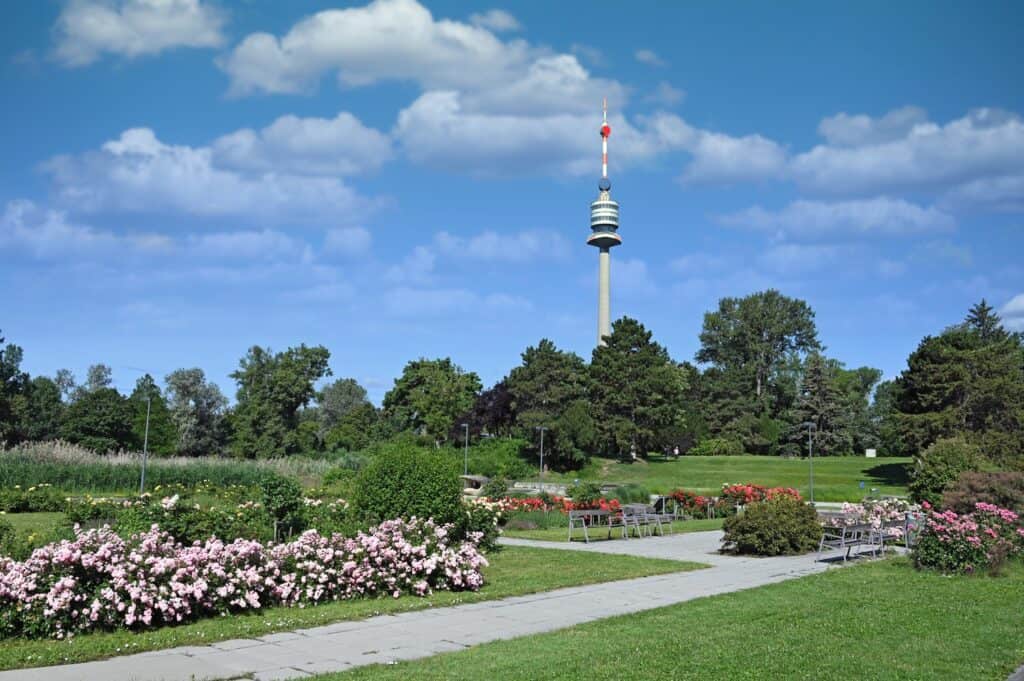 A serene view of the Danube Tower amid a blossoming rose garden with a clear blue sky overhead.