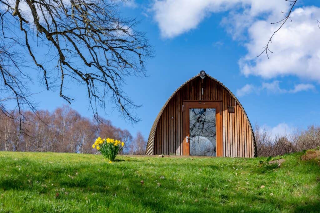 A wooden eco-pod cabin with large glass doors, situated in a grassy field with spring daffodils and a clear blue sky