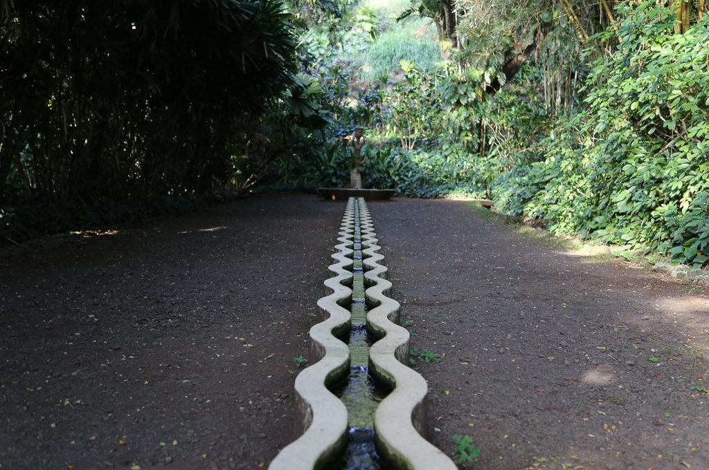 Water feature at Allerton Garden.